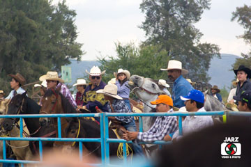 rodeo 12