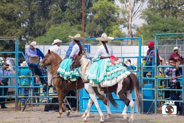 rodeo 14